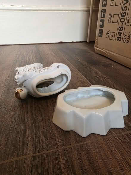 Photo of free White dragon (Ramsgate CT11) #4
