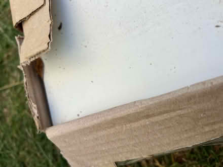 Photo of free white wall tiles - matt (SM4, Morden) #1