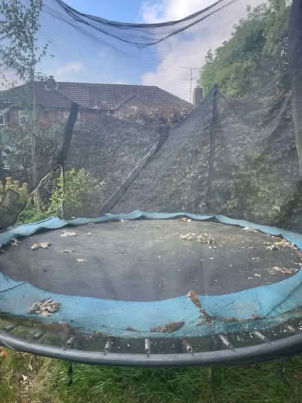 Photo of free 8ft trampoline (S17 Dore) #2