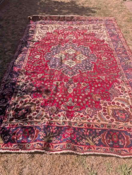 Photo of free Iranian Carpet 305cm x 208cm (Hatfield AL10) #1