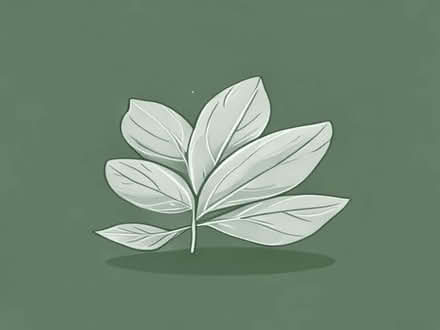 Photo of free Fresh Bayleaves (Tinkersley DE4) #1