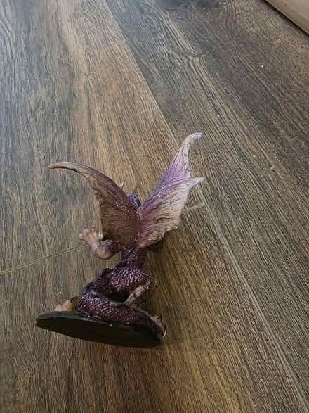 Photo of free Purple dragon (Ramsgate CT11) #3