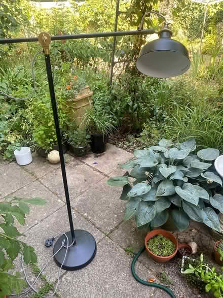 Photo of free Ikea standard lamp (Cholsey, OX10) #2
