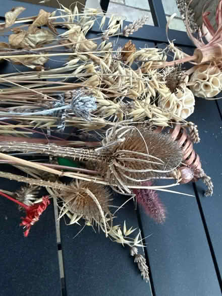 Photo of free Assorted dried & artificial flowers (High Wycombe HP13) #2