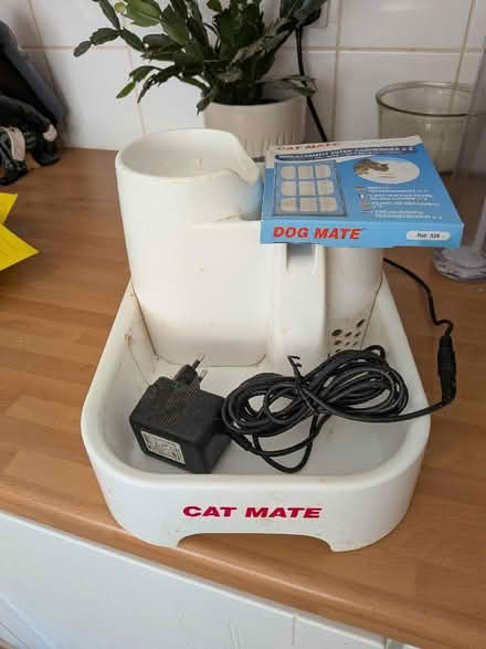 Photo of free Cat mate water fountain drinking (Shippon OX13) #2
