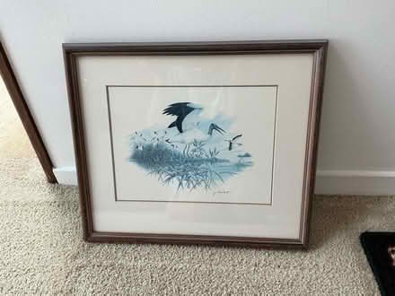 Photo of free Two bird prints (Lucas Valley) #1