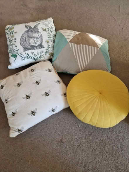 Photo of free 4 x cushions (Hanham, Bristol) #1