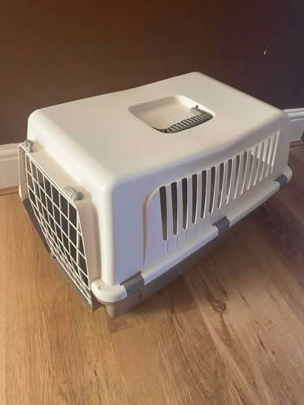 Photo of free Large Pet Carrier (Teddington) #1