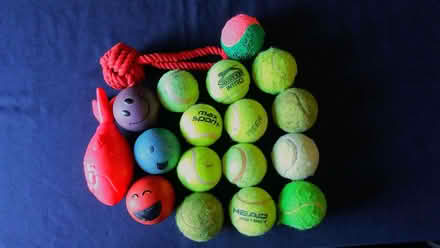 Photo of free Dog tennis balls and toys (Old Farm Park MK7) #1