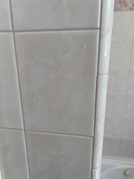 Photo of free Pink porcelain tile (Near Homestead & Scott) #3