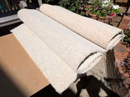 Photo of free Carpet offcut (Caversham RG4) #1