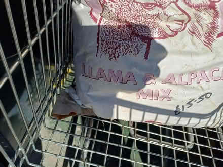 Photo of free Llama & Alpaca Food (Rainham, Kent - ME8) #2
