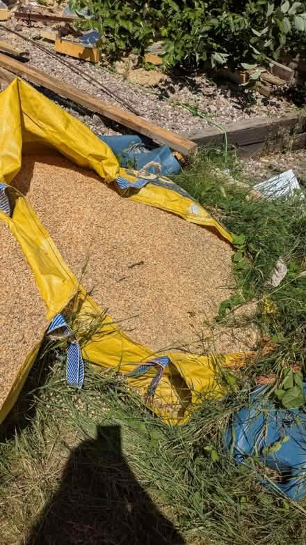 Photo of free 1 ton builders bags of saw dust (Short heath WV12) #2