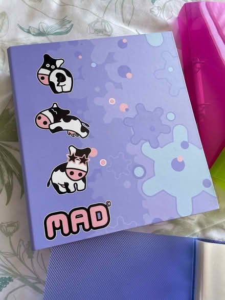 Photo of free A4 folders (Talbot Village BH10) #2