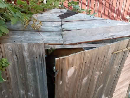 Photo of free Timber Shed (Manchester M12 4DJ) #1