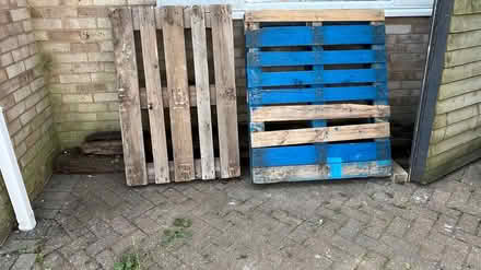 Photo of free 2 Pallets (Oakley) #1