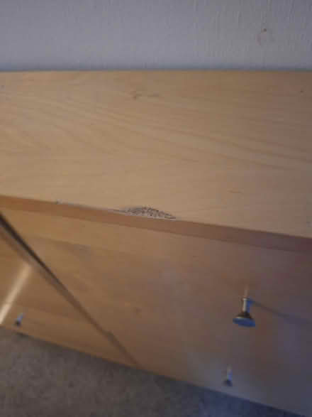 Photo of free Shoe storage unit (Westminster) #4
