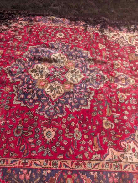 Photo of free Iranian Carpet 305cm x 208cm (Hatfield AL10) #2