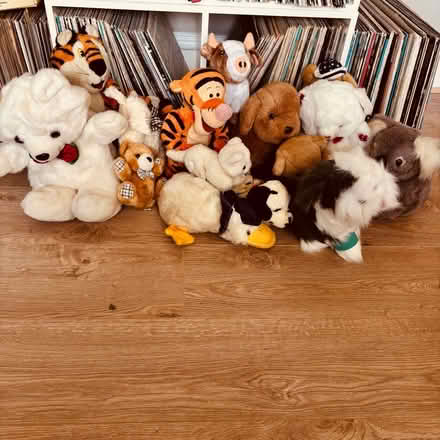 Photo of free Selection of soft toys (Oxton CH43) #1