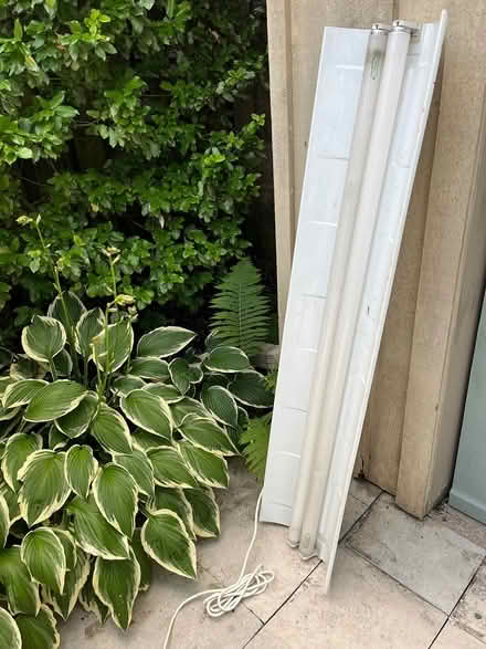 Photo of free Grow light (Guelph (downtown)) #1