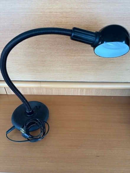 Photo of free Gooseneck lamp (Van West (at Sylvia Hotel)) #1