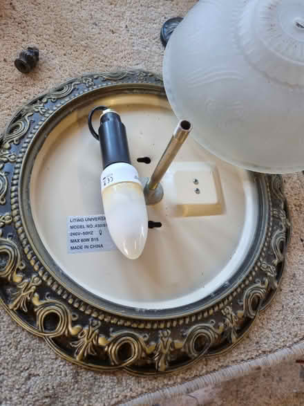 Photo of free Ornamental ceiling light (Virginia Water) #2