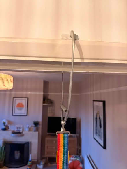 Photo of free Baby door bouncer (Wivenhoe CO7) #1