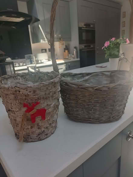 Photo of free 2 Basket plant pots (Chapelfields CV5) #3