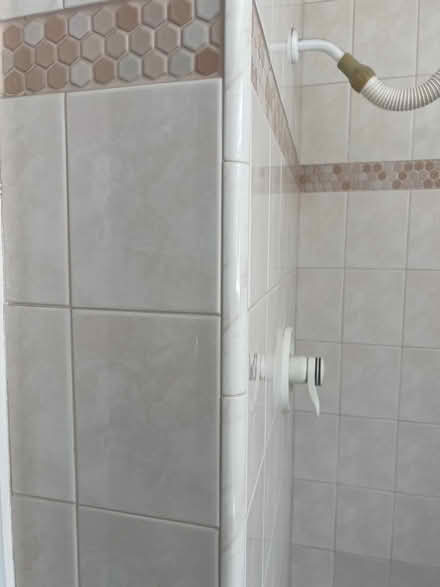 Photo of free Pink porcelain tile (Near Homestead & Scott) #4