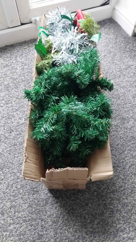 Photo of free Christmas tree - small (Rochester ME1) #1