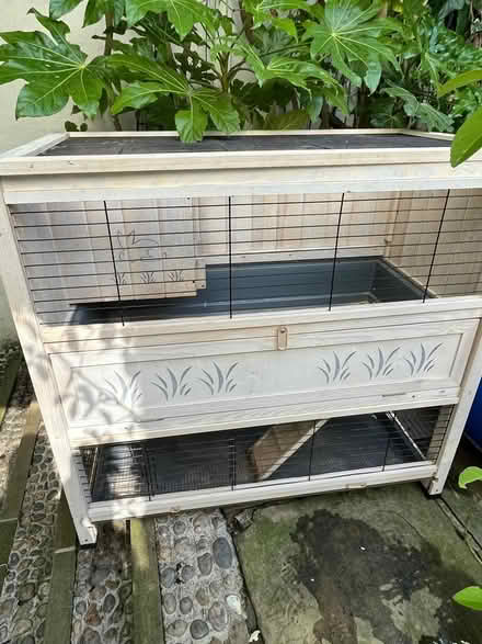 Photo of free Large guinea pig / rabbit wood cage (Holland Park W14) #3