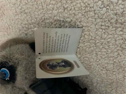 Photo of free Meerkat - vassily soft toy. (Shenley Fields B29) #4