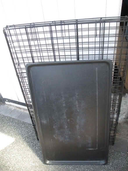 Photo of free Large folding dog crate with plastic tray (Cheylesmore CV3) #1
