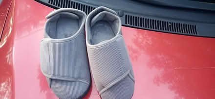 Photo of free Slippers (East Beechwood area) #3