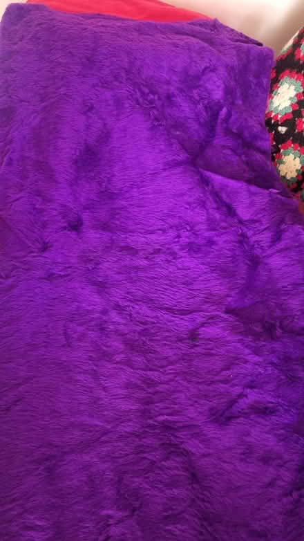 Photo of free furry fabric (east dean PO18) #1
