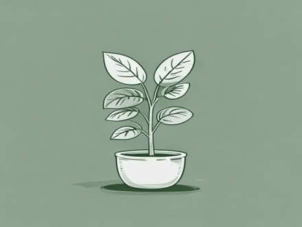 Photo of free Money plant (islington N1) #1