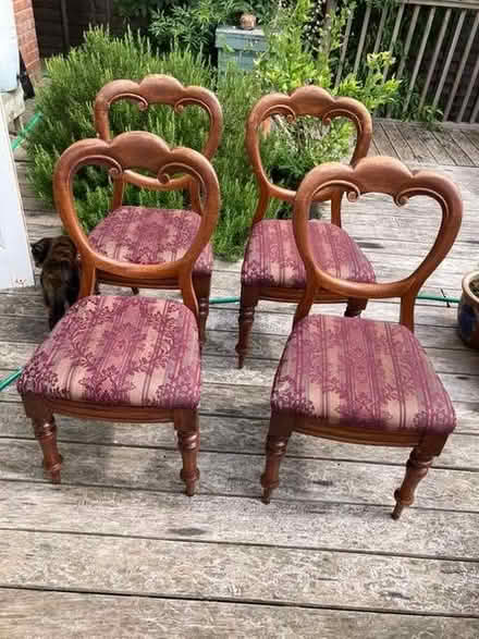 Photo of free Chairs (Marlow SL7) #1