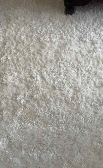 Photo of free Shag White Area Rug 8 x 10' (Langley bc) #2