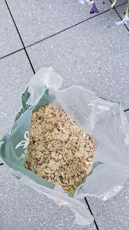 Photo of free Small Animal Wood Shavings (Rotherhithe SE16) #2
