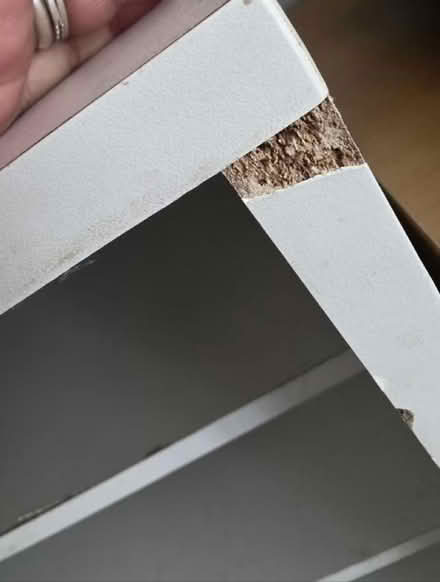 Photo of free Shoe cupboard (Bow E3) #3