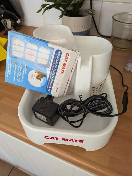 Photo of free Cat mate water fountain drinking (Shippon OX13) #1