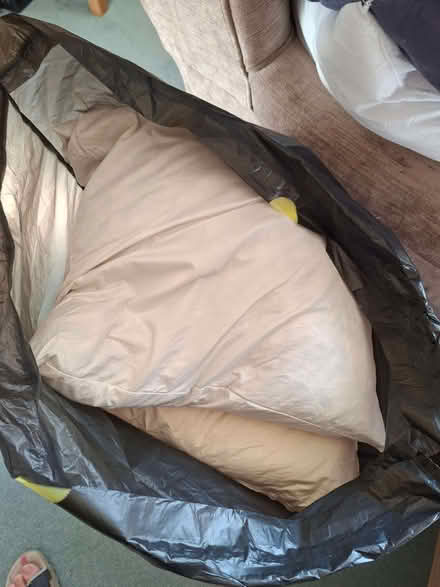 Photo of free Cushion inners (Wrexham LL13) #2