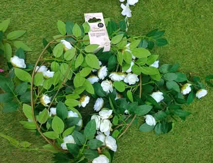 Photo of free Flower garlands (Canonmills EH3) #2