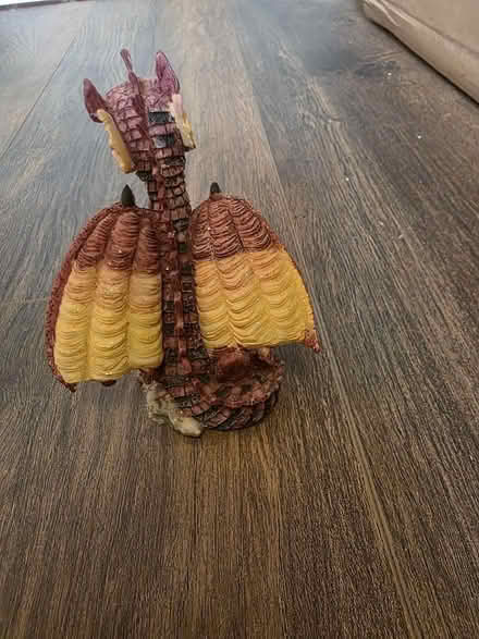 Photo of free Dragon small (Ramsgate CT11) #3