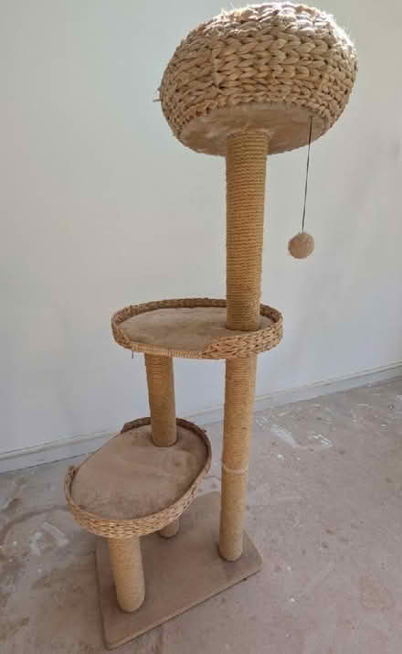 Photo of free Cat tree (Latchford WA4) #1