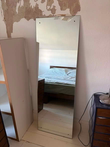 Photo of free Mirror (Streatham Common) #1