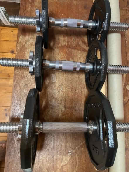 Photo of free Gym weights (Cradley WR13) #1