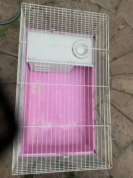 Photo of free Guinea pig hutch (North Norwich NR3) #2