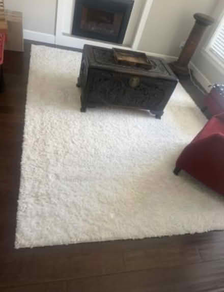 Photo of free Shag White Area Rug 8 x 10' (Langley bc) #1
