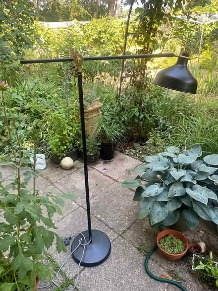 Photo of free Ikea standard lamp (Cholsey, OX10) #1
